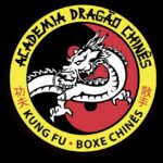 Academia Dragão Chinês
