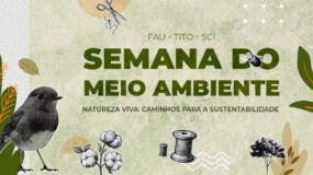 Documentário e Exposição Cinzas da Terra